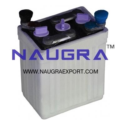 Cell ï¿½ Standard for Physics Lab
