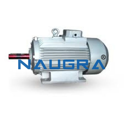 Dual Speed Motor - 25 for Electric Motors Teaching Labs
